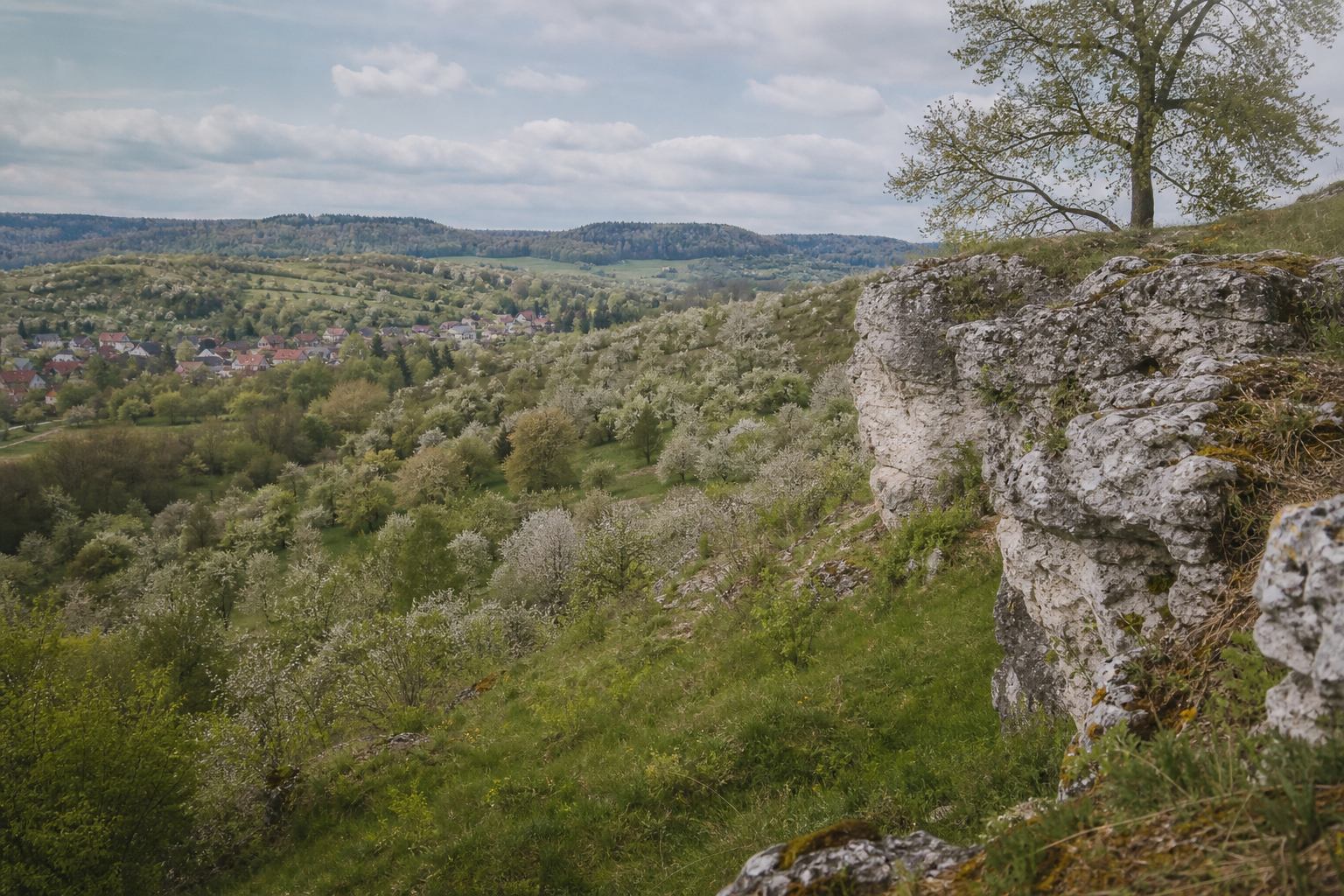 Helle Kalkhügel und Obstwiesen in Deutschland